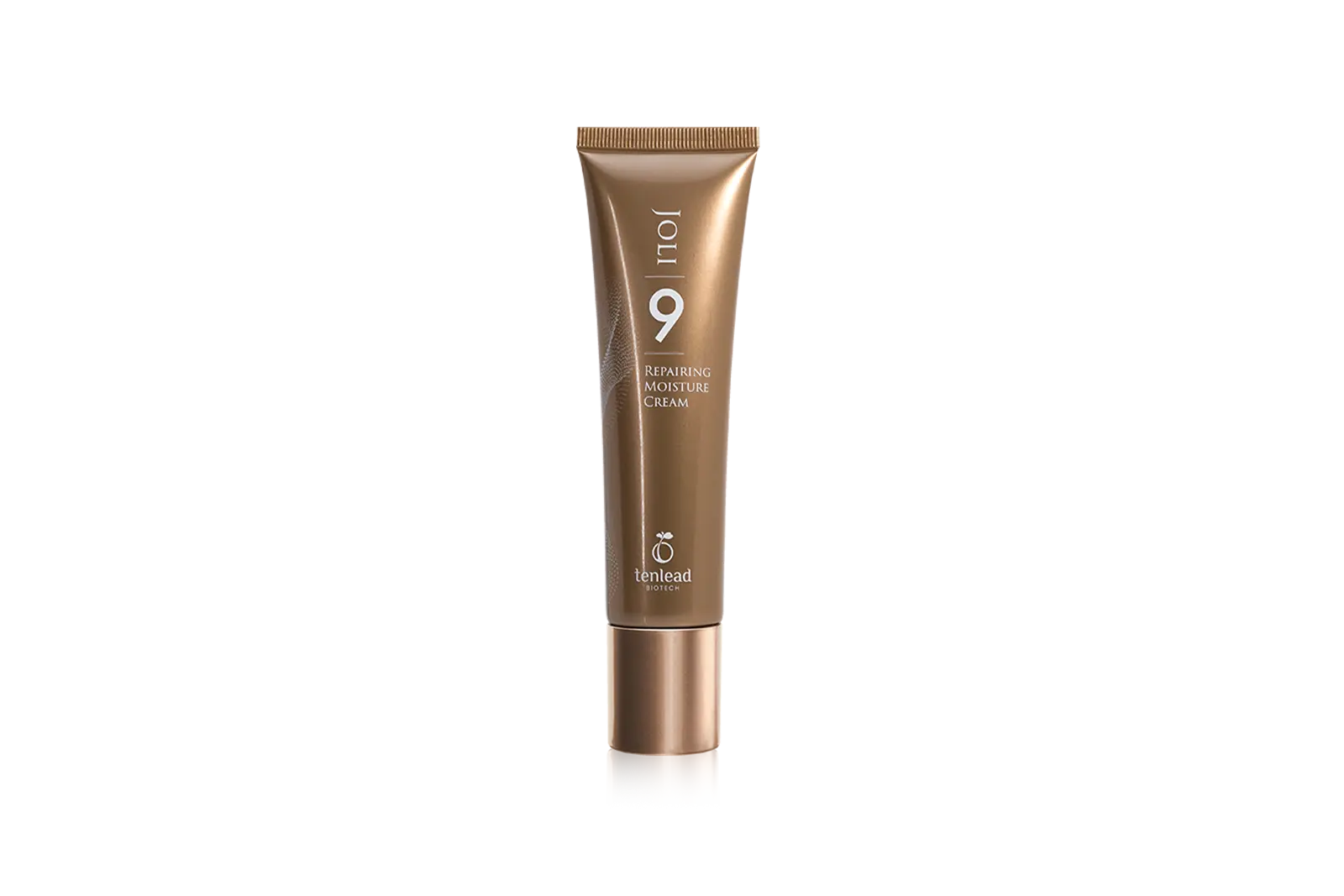 09-Repairing Moisture